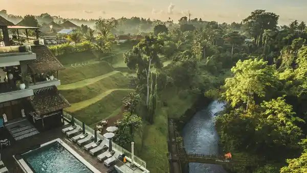 Bild 1 von Indonesien - Bali - Ubud & Kuta