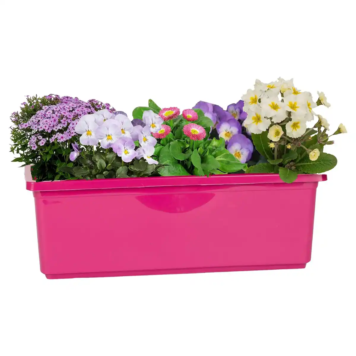 Bild 1 von GARDENLINE Balkonkasten