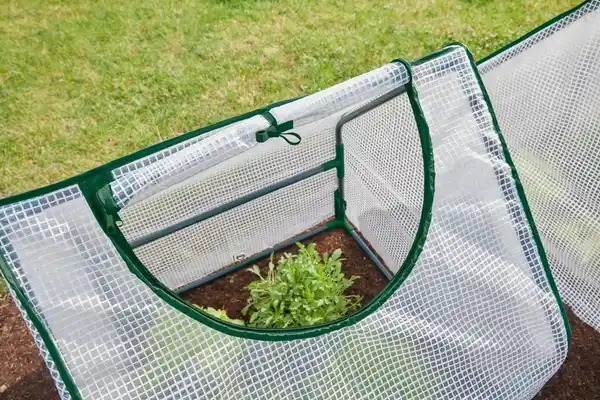 Bild 3 von PARKSIDE® Folienfrühbeete, 2-St.-Packg.