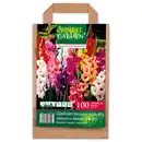 Bild 2 von Finest Garden Blumenzwiebeln in Papiertasche