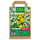 Bild 4 von Finest Garden Blumenzwiebeln in Papiertasche