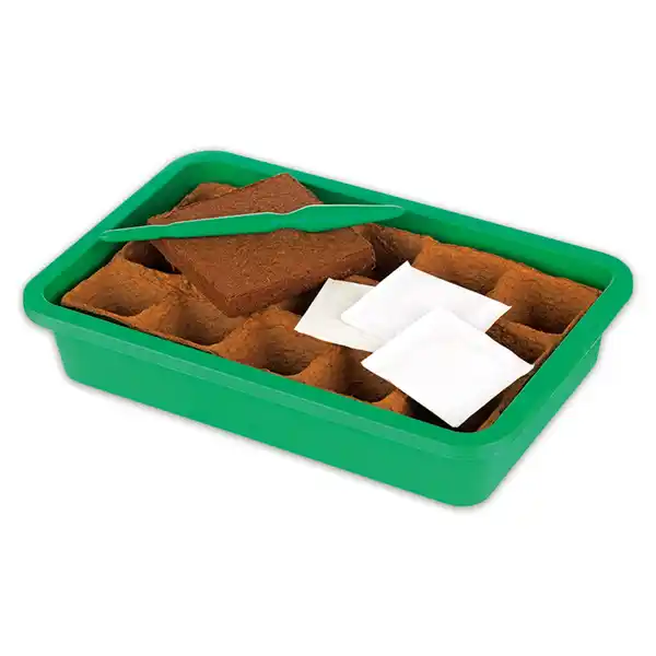 Bild 2 von Finest Garden Zimmergewächshaus