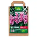 Bild 3 von Finest Garden Blumenzwiebeln in Papiertasche