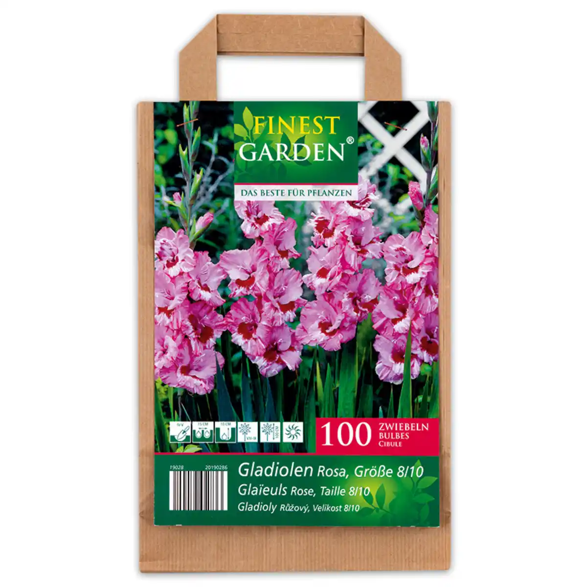 Bild 3 von Finest Garden Blumenzwiebeln in Papiertasche