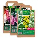 Bild 1 von Finest Garden Blumenzwiebeln in Papiertasche