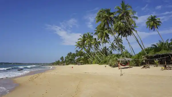 Bild 1 von Bus-Rundreise  - Wunderbares Sri Lanka - Verlängerung 15-tägig