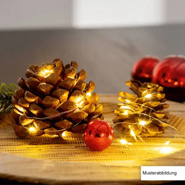 Bild 2 von LED-Lichterdraht - Ohne Dekor