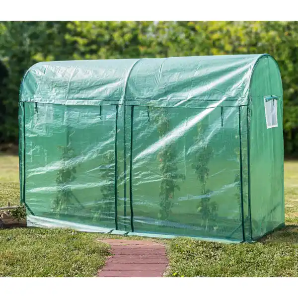 Bild 3 von Tomaten-Gewächshaus mit 2 Toren und 4 Fenstern, ca. 300 x 100 x 200 cm - Grün