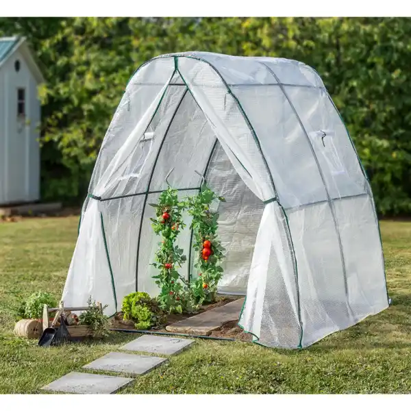 Bild 3 von Tomaten-Gewächshaus mit 1 Tor und 2 Fenstern