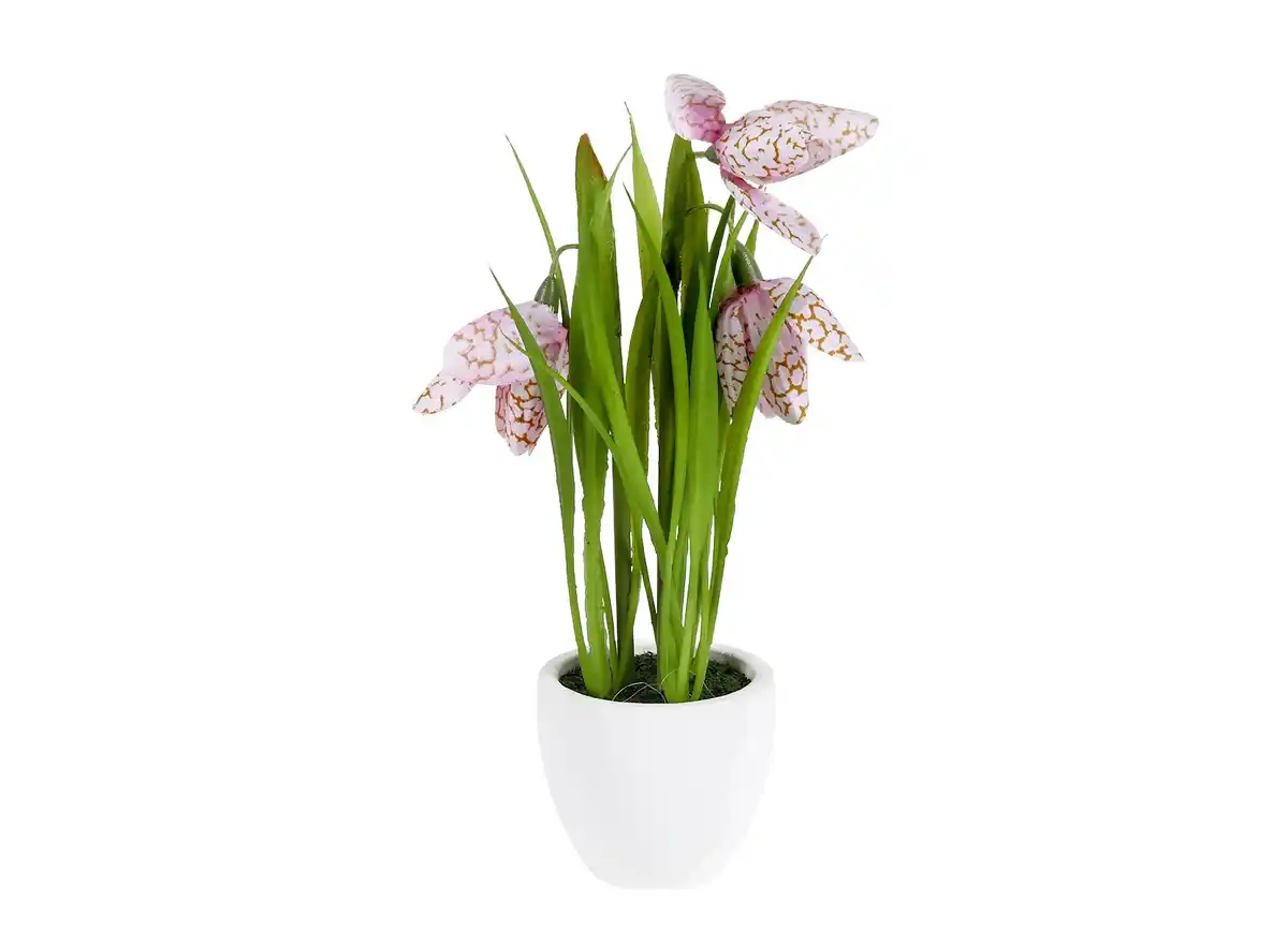 Bild 1 von Künstliche Frühlingsblume im Gipstopf