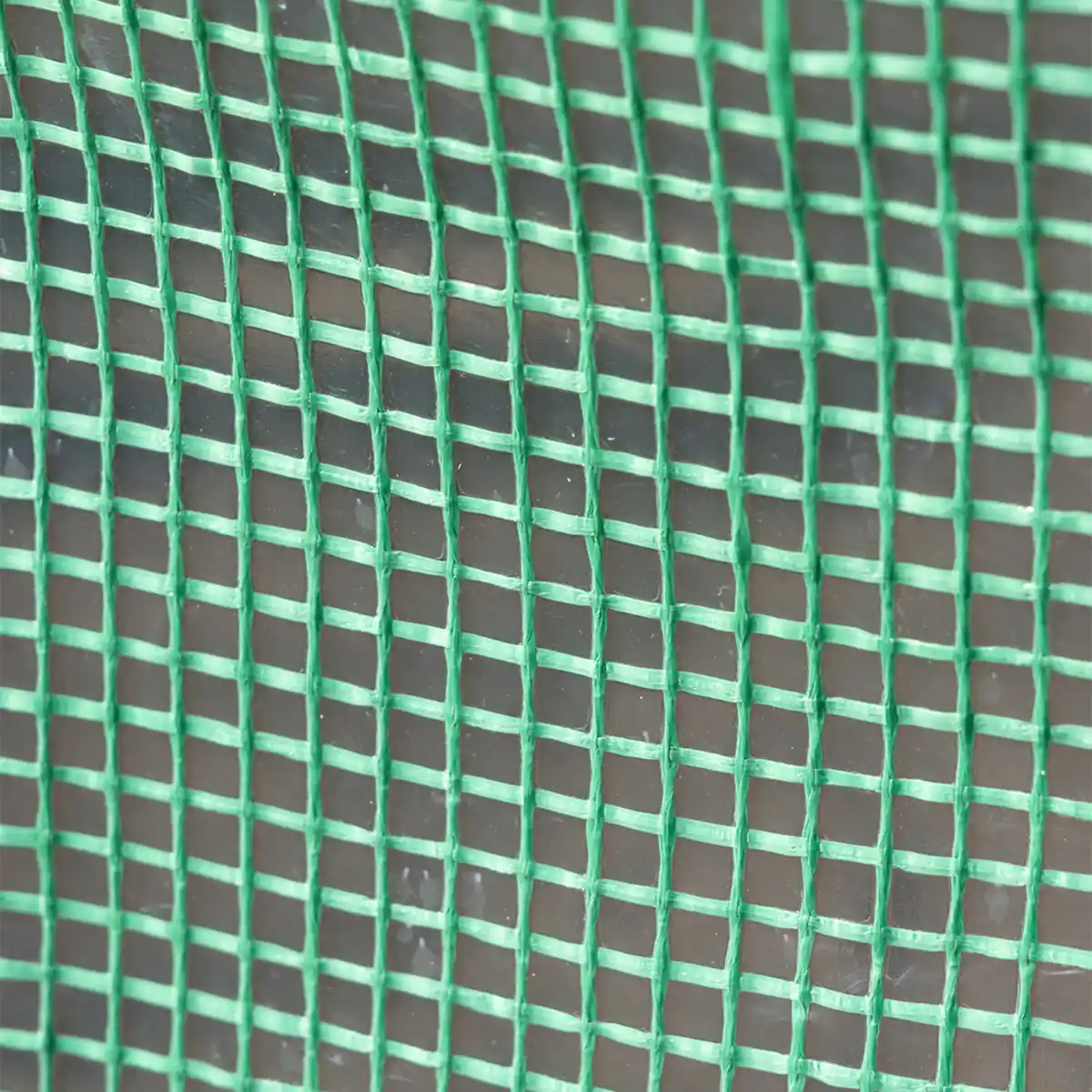 Bild 4 von Tomaten-Gewächshaus mit 1 Tor und 6 Fenstern