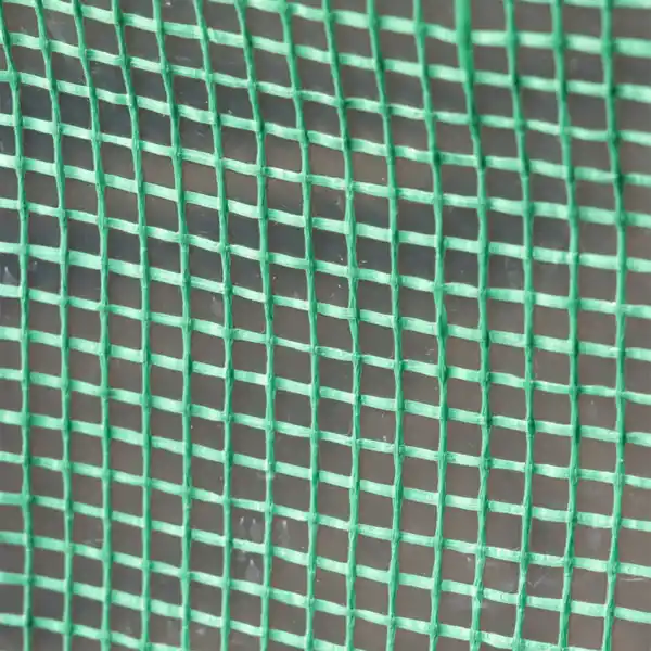 Bild 4 von Tomaten-Gewächshaus mit 1 Tor und 6 Fenstern