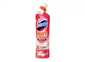 Domestos WC Gel 750ml 'Kraft & Frische'