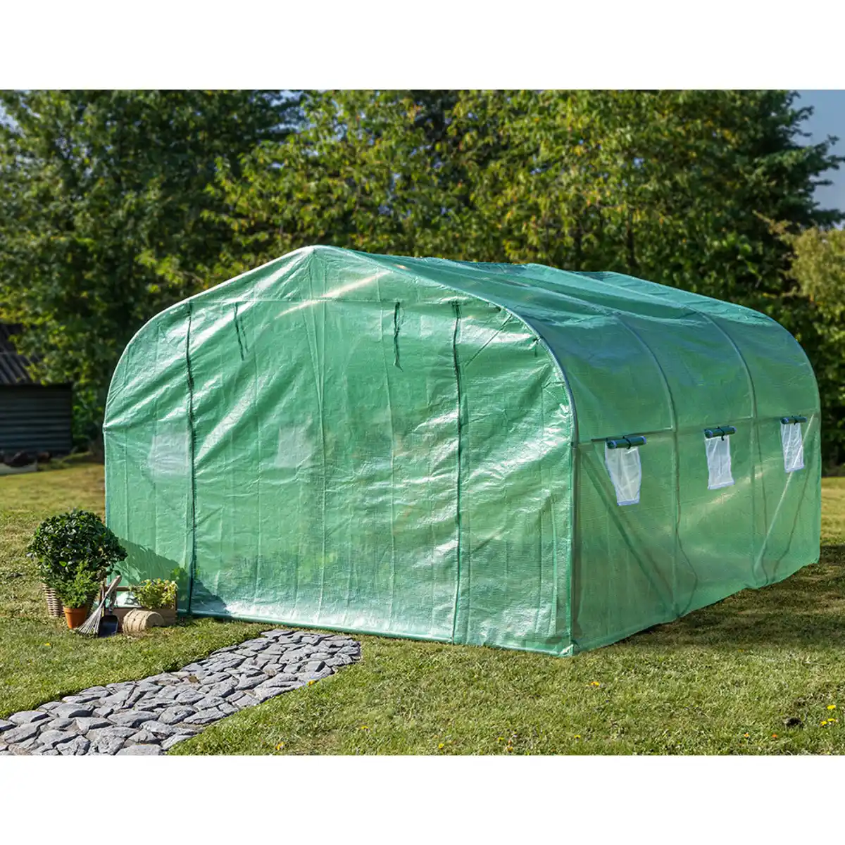 Bild 3 von Tomaten-Gewächshaus mit 1 Tor und 6 Fenstern