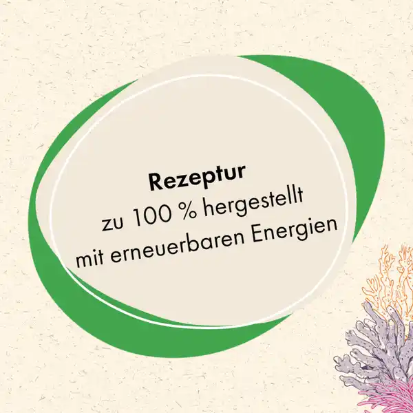 Bild 3 von eco Freude Colorwaschmittel Pulver 20 WL