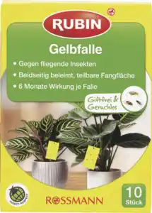 RUBIN Gelbfalle