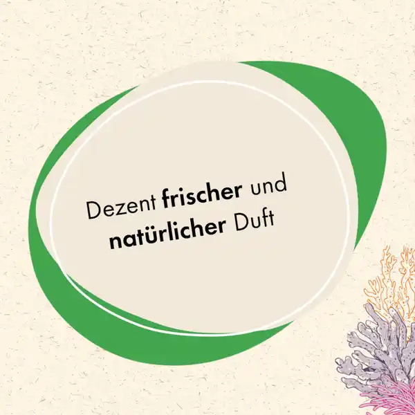 Bild 4 von eco Freude Colorwaschmittel Pulver 20 WL