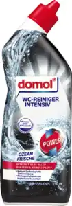 domol WC-Reiniger Intensiv, 750 ml