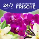 Bild 4 von Softlan Ultra Weichspüler Vanille & Orchidee 45 WL