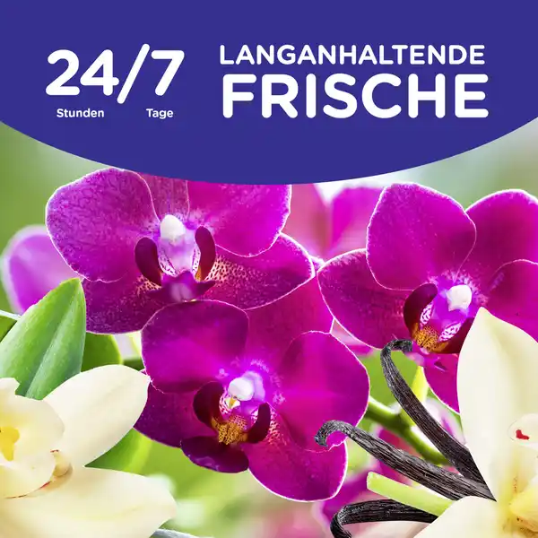 Bild 4 von Softlan Ultra Weichspüler Vanille & Orchidee 45 WL