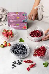 Fredman Gefrierbeutel 2 l