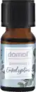 Bild 2 von domol Ätherische Öl Eukalyptus, 10 ml