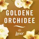 Bild 3 von febreze 3Volution Duftstecker Nachfüllflakon Lenor Goldene Orchidee, 20 ml