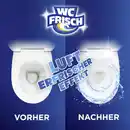 Bild 4 von WC FRISCH Kraft Aktiv WC Reiniger Gel Ozeanfrische, 750 ml