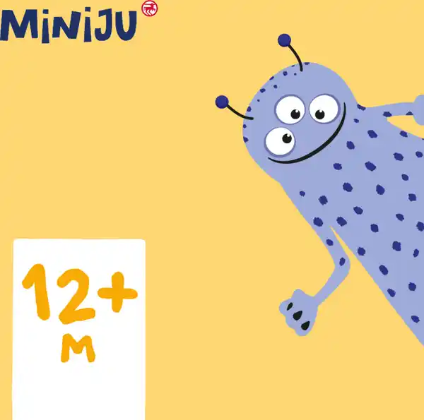 Bild 4 von Miniju Formensortier-Eimer