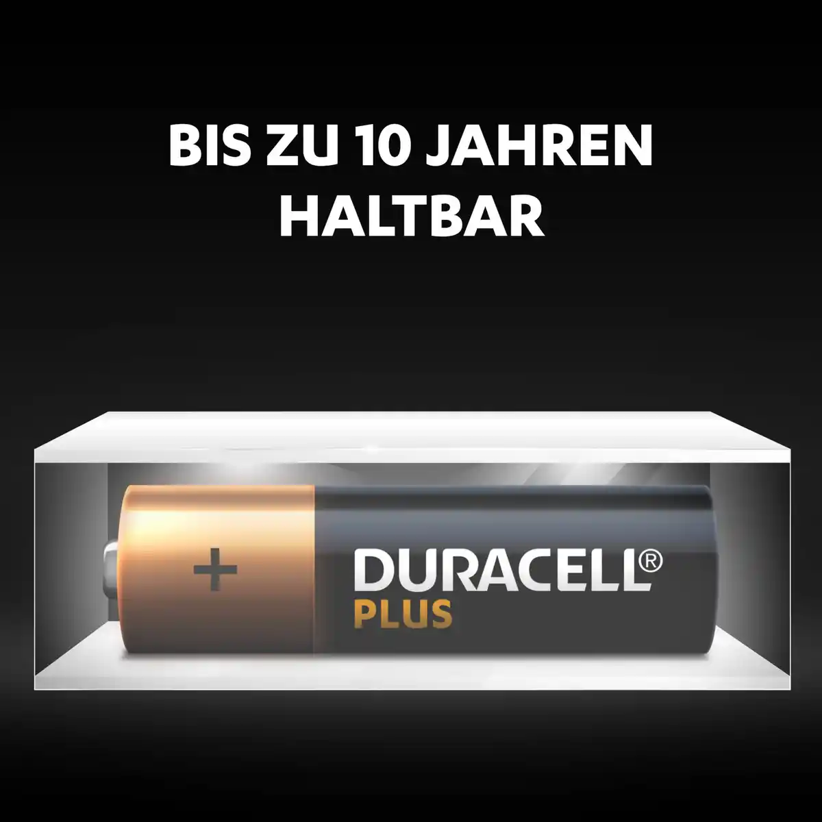 Bild 2 von Duracell Plus AA Alkaline-Batterien