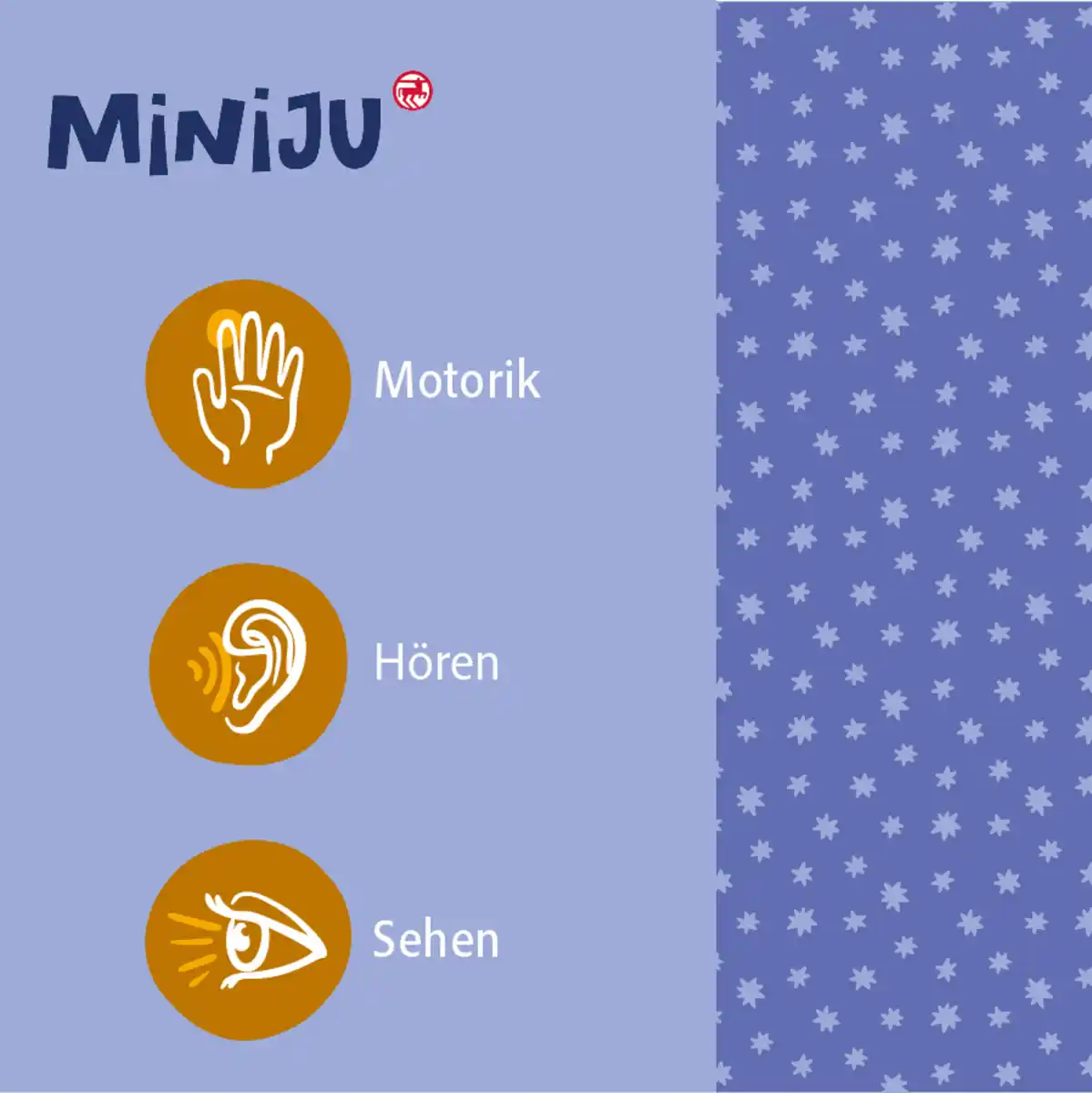 Bild 2 von Miniju Rassel - Auto Kuh