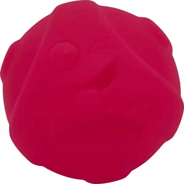 Bild 4 von Miniju Texturbälle