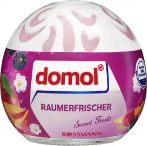 domol Raumerfrischer Sweet Fruits, 100 ml