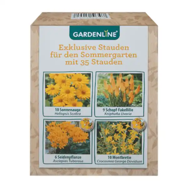 Bild 4 von GARDENLINE Stauden für den Sommergarten