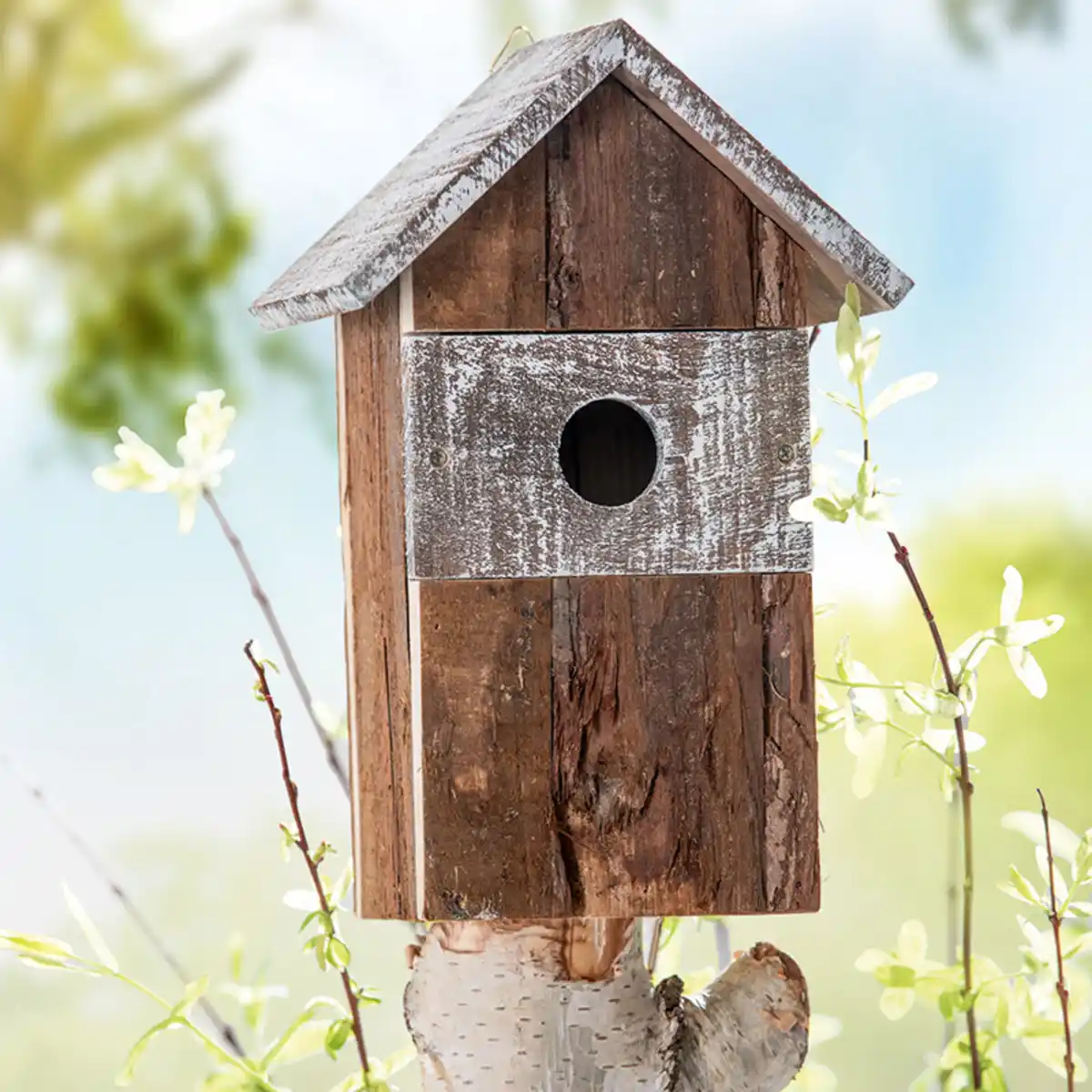 Bild 1 von Little-Friends Premium-Nistkasten