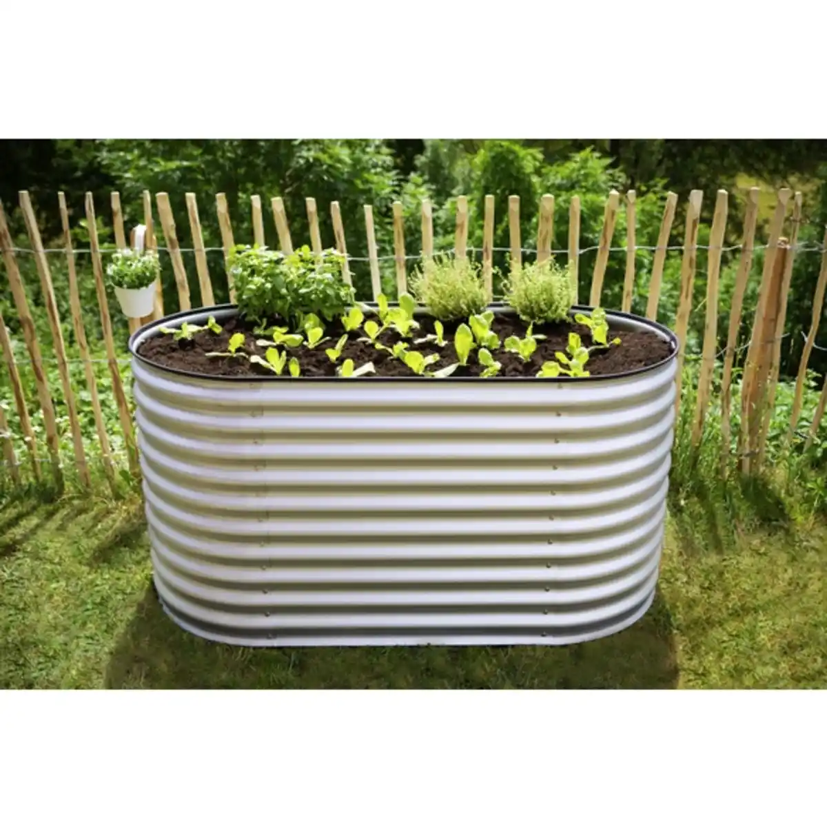 Bild 3 von Westmann Hochbeet, BxHxL: 160 x 82 x 80 cm, Stahl