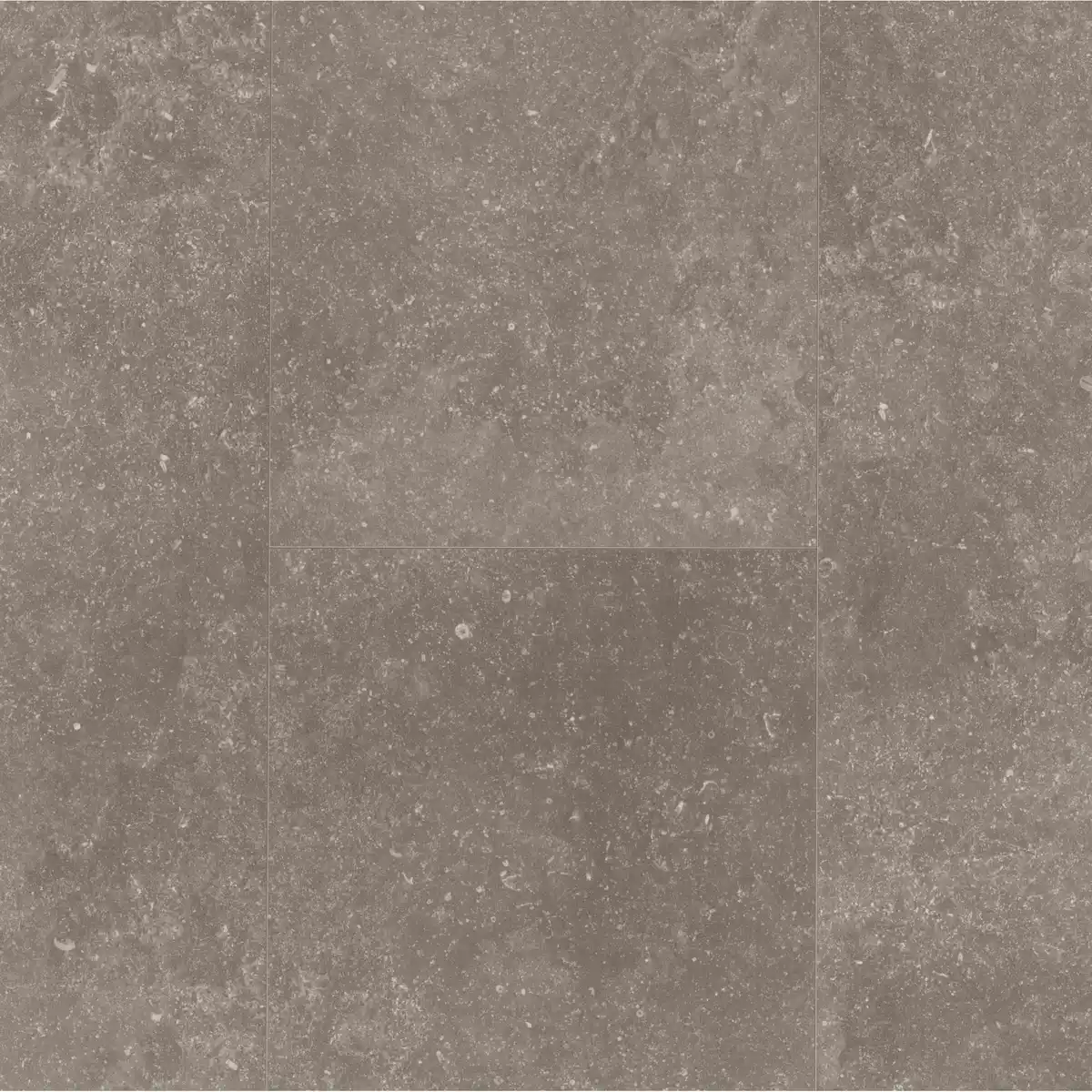 Bild 1 von Parador Vinylboden 'Basic' Granit felsengrau Steinstruktur 8 mm