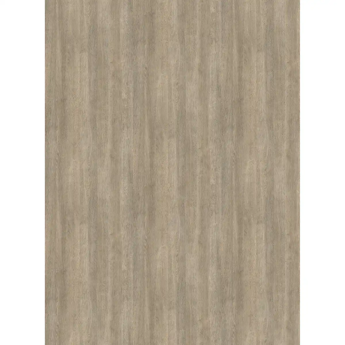 Bild 1 von Arbeitsplatte 'Eiche Quarz K4324' braungrau 2600 x 600 x 28 mm