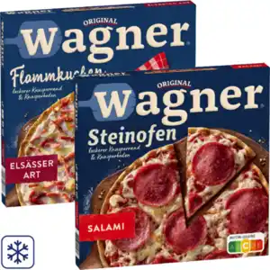 Original Wagner Steinofen Pizza, Pizzies oder Flammkuchen