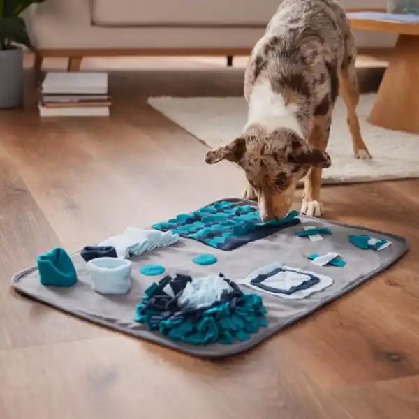 Bild 4 von ROMEO Spiel- und Schnüffelmatte