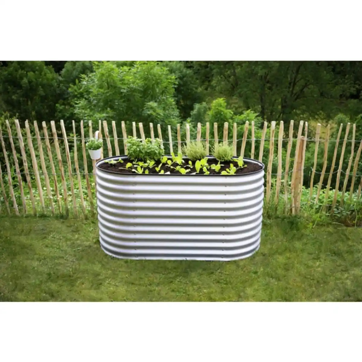 Bild 4 von Westmann Hochbeet, BxHxL: 160 x 82 x 80 cm, Stahl