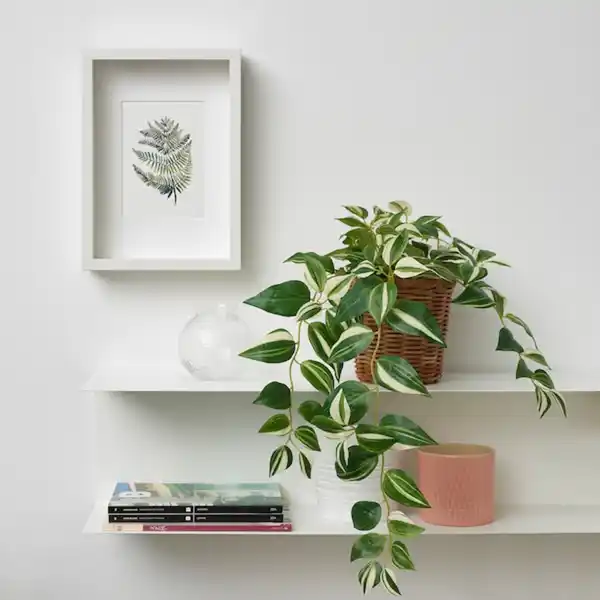 Bild 2 von FEJKA Topfpflanze, künstlich, drinnen/draußen/Zebrakraut 12 cm