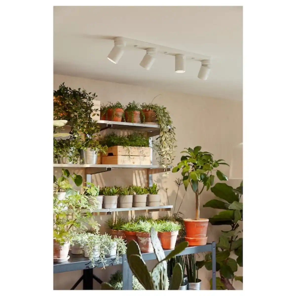 Bild 4 von NYMÅNE Deckenspot/4 Spots