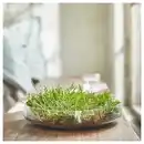 Bild 2 von HEDERSAM Duftkerze im Glas, Frisches Gras/hellgrün 40 Std.