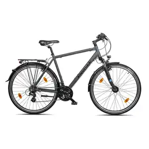 RIVERSIDE Trekkingrad 28 Zoll 320 TR Herren Grau