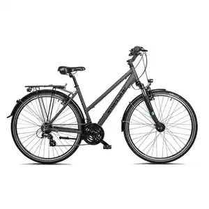 RIVERSIDE City-Bike 28 Zoll 320 TR Damen Grau