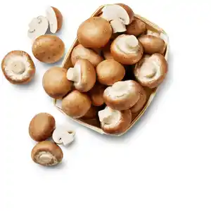 Poln./dtsch. Kulturchampignons, braun, 250-g-Schale