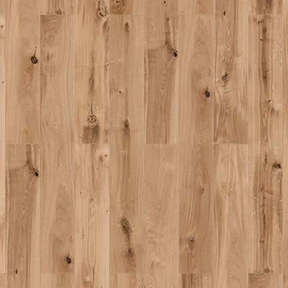 Bild 1 von Vinylboden 'NEO 2.0 Wood' Canadian Summer Oak hellbraun 4,5 mm