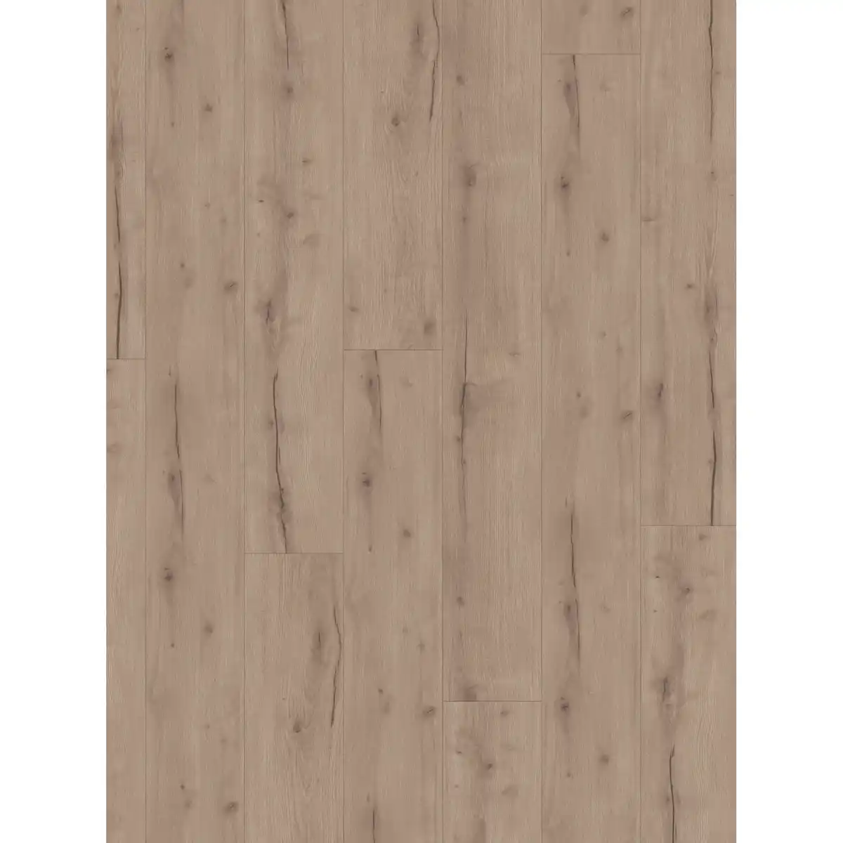 Bild 1 von Parador Vinylboden 'Modular ONE' Eiche Helios grau 8 mm