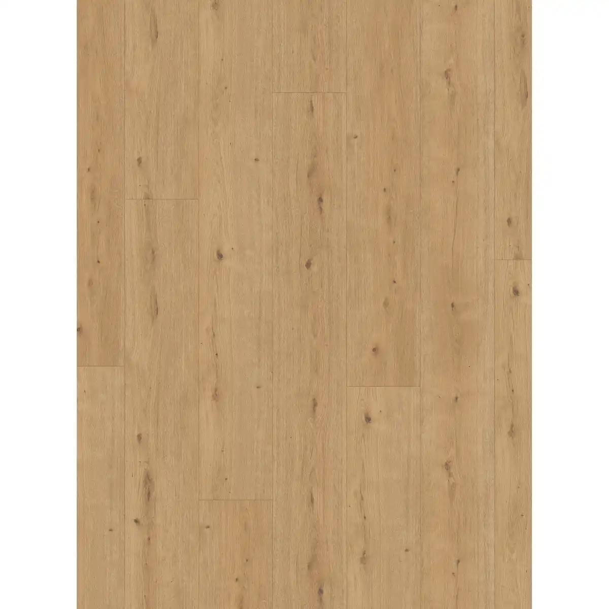 Bild 1 von Parador Vinylboden 'Modular ONE' Eiche Atmosphere hellbraun 8 mm